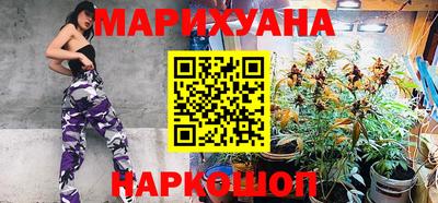 сатива Лесосибирск